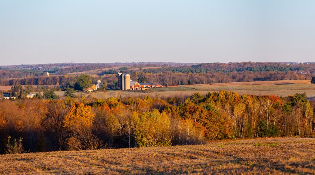 Trung tâm Wisconsin