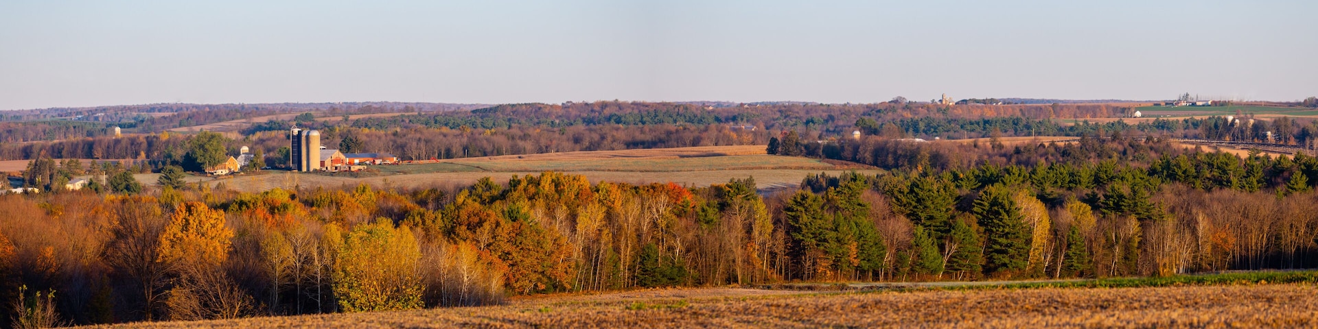 Ländliche Landschaft mit Feldern, Bäumen und Bauernhäusern.