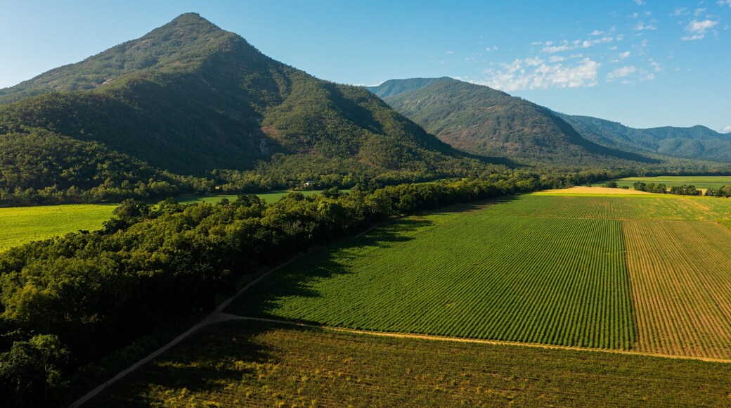 Northern Queensland which includes landscape views and farmland
