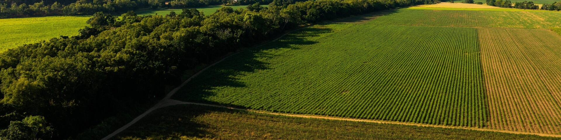 Northern Queensland which includes landscape views and farmland