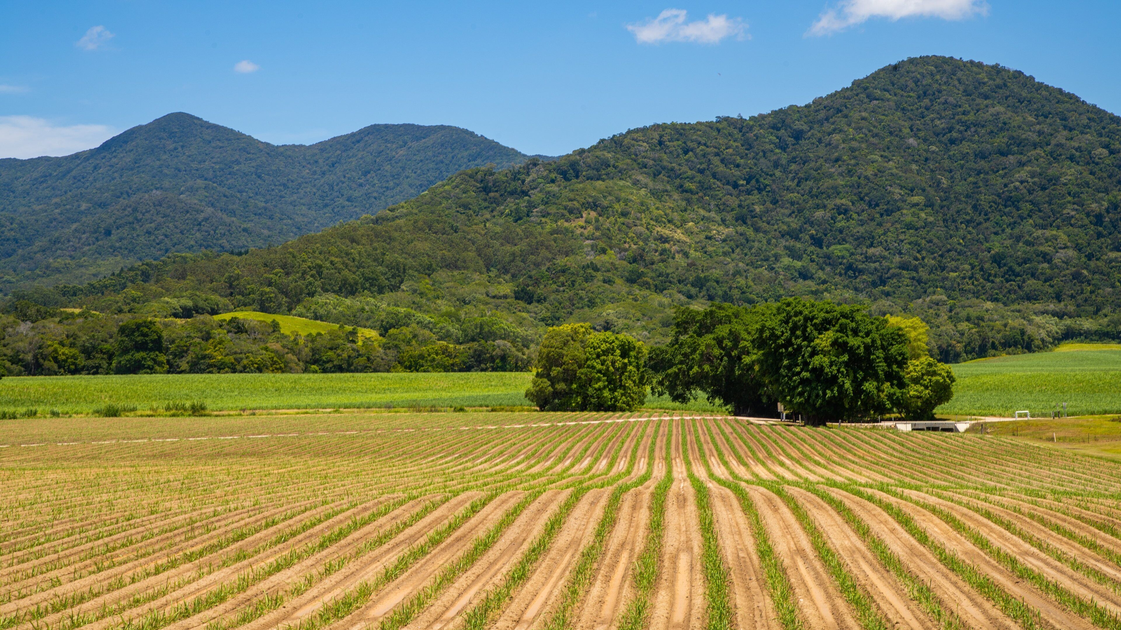 Northern Queensland featuring landscape views and farmland