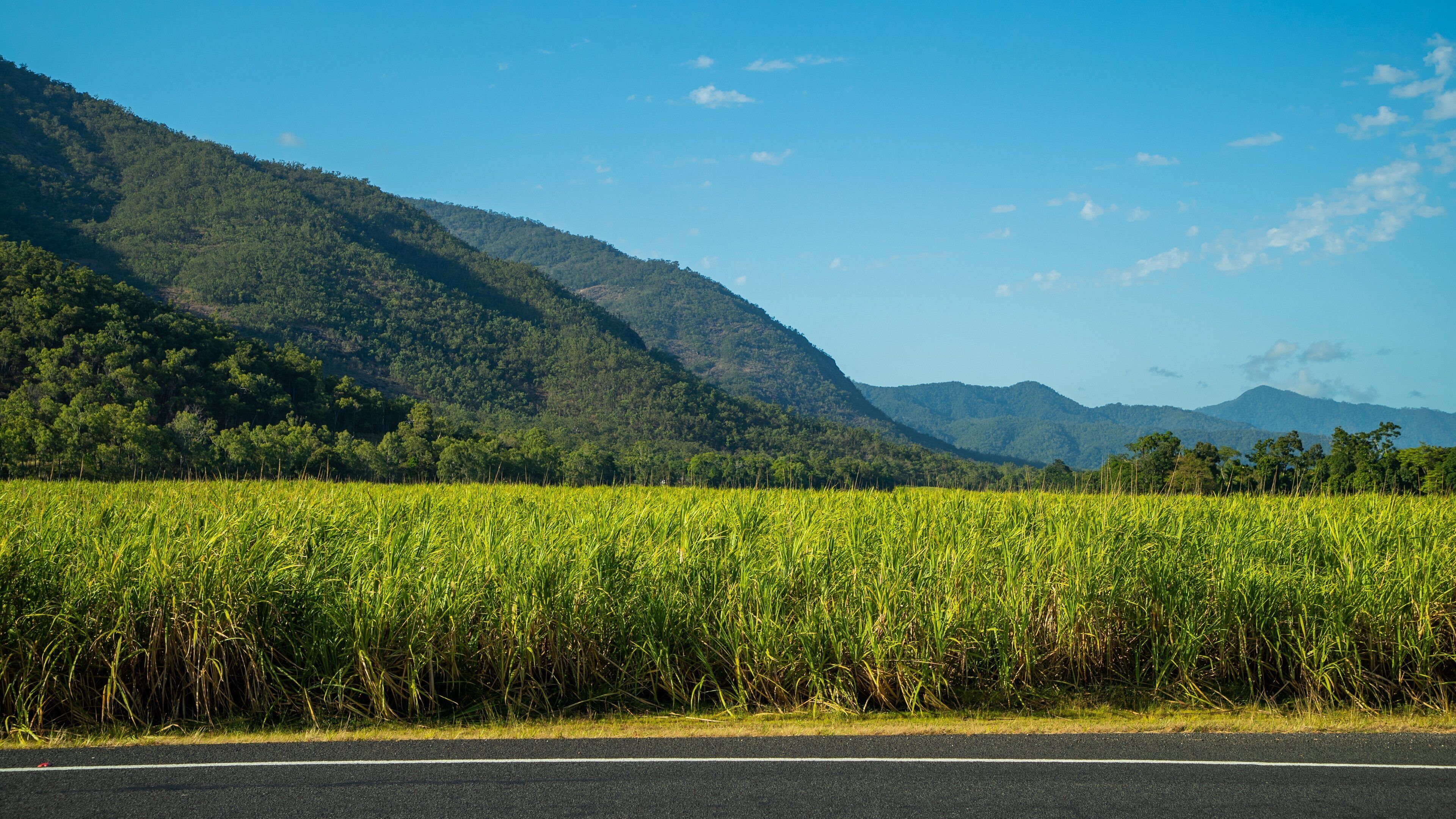 Northern Queensland which includes tranquil scenes