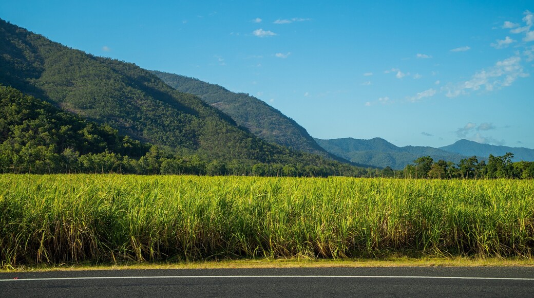 Northern Queensland which includes tranquil scenes