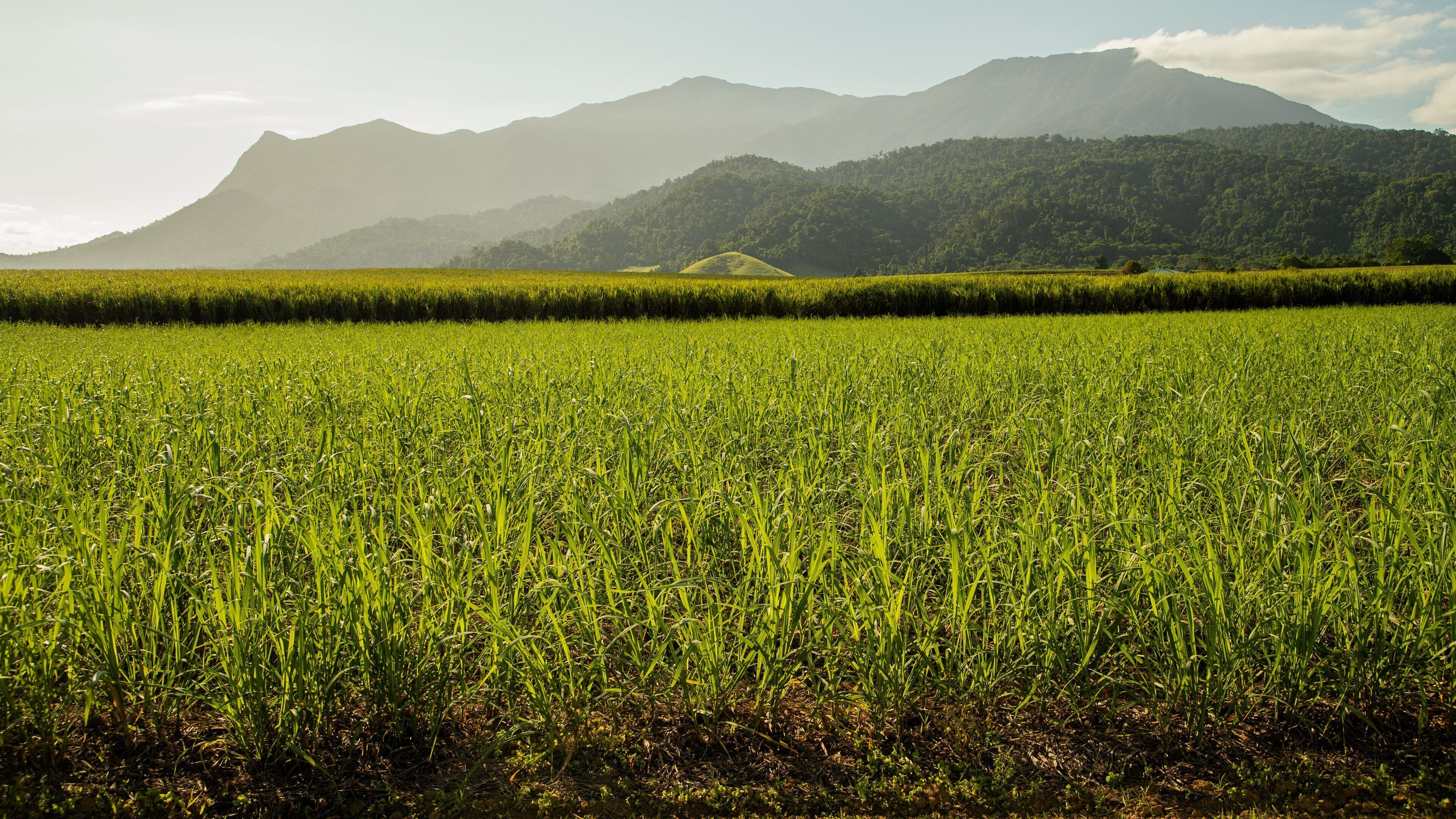 Northern Queensland showing farmland and a sunset