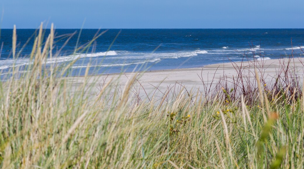 Beach at the west end of the north sea island Juist in East Frisia, Germany, Europe.