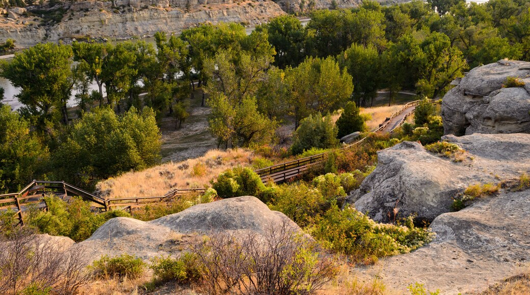 Pompeys Pillar National Monument