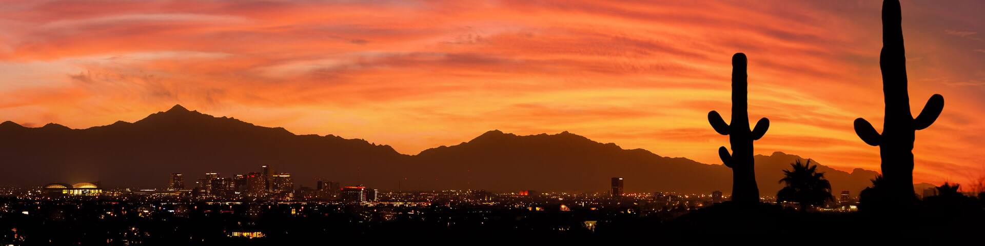 A city skyline at sunset with mountains in the background and two cacti silhouetted against the sky.