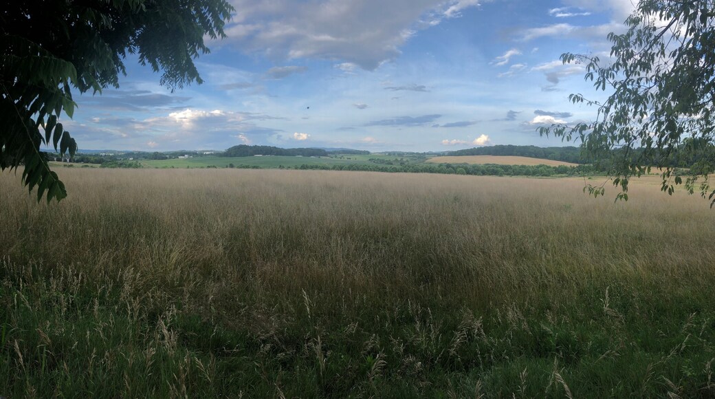 ヘスウッド - プライシズ フォーク