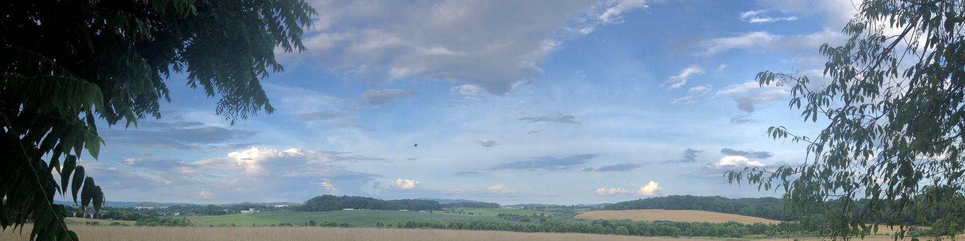 Summer Field - Blacksburg, VA