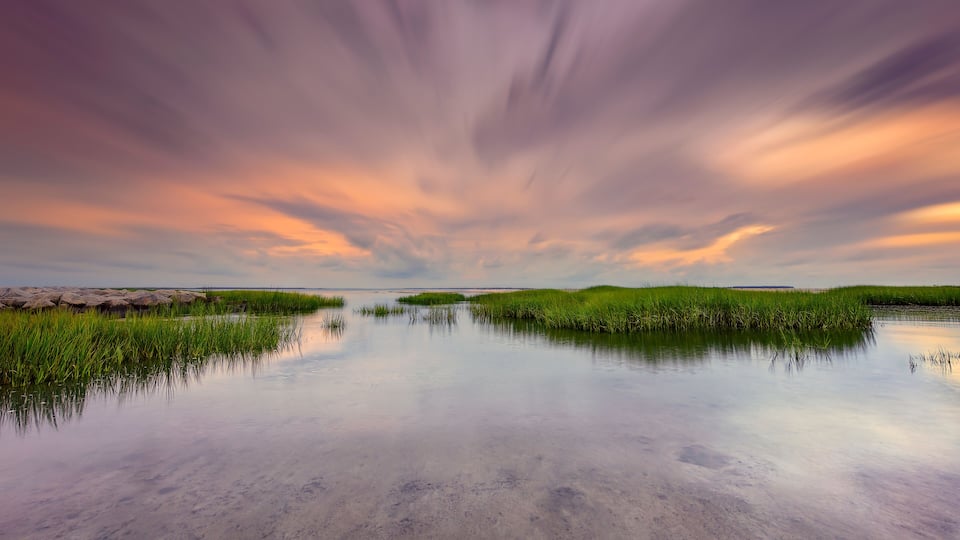 Seascape of Hilton Head Island