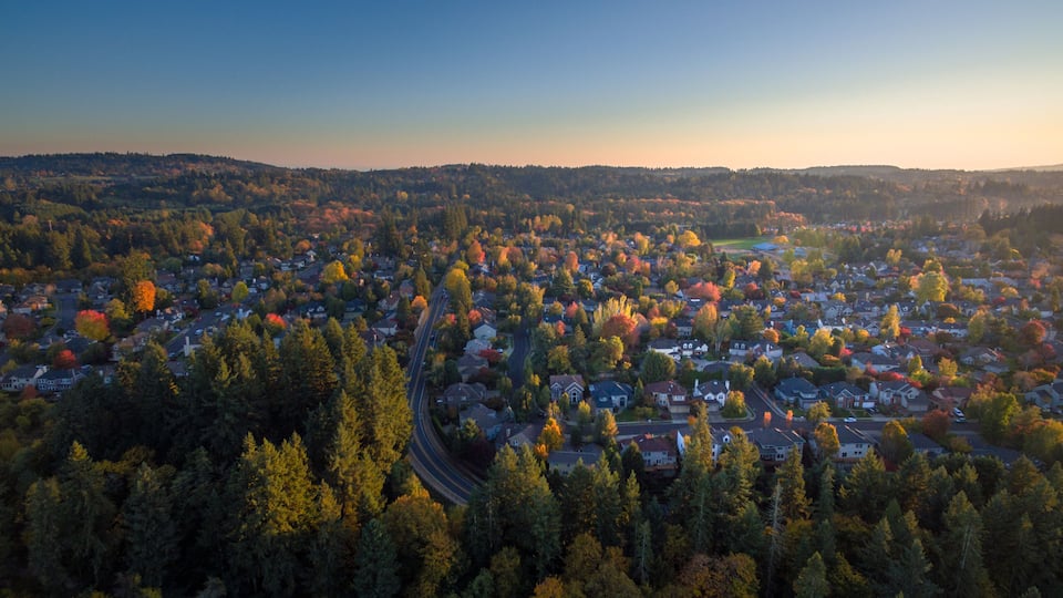 Fall Colors Taking Over The City