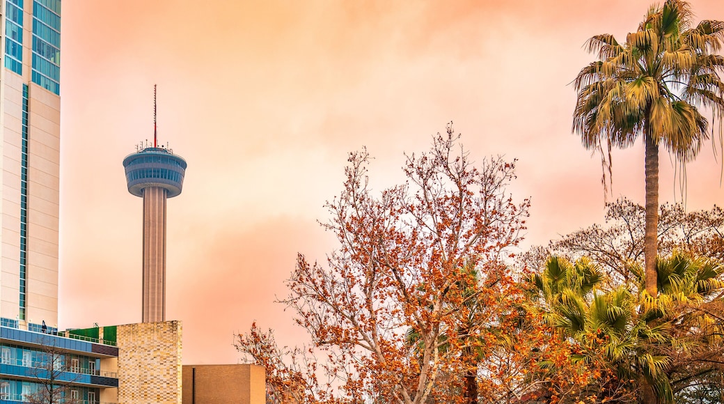 Oak Park - Northwood