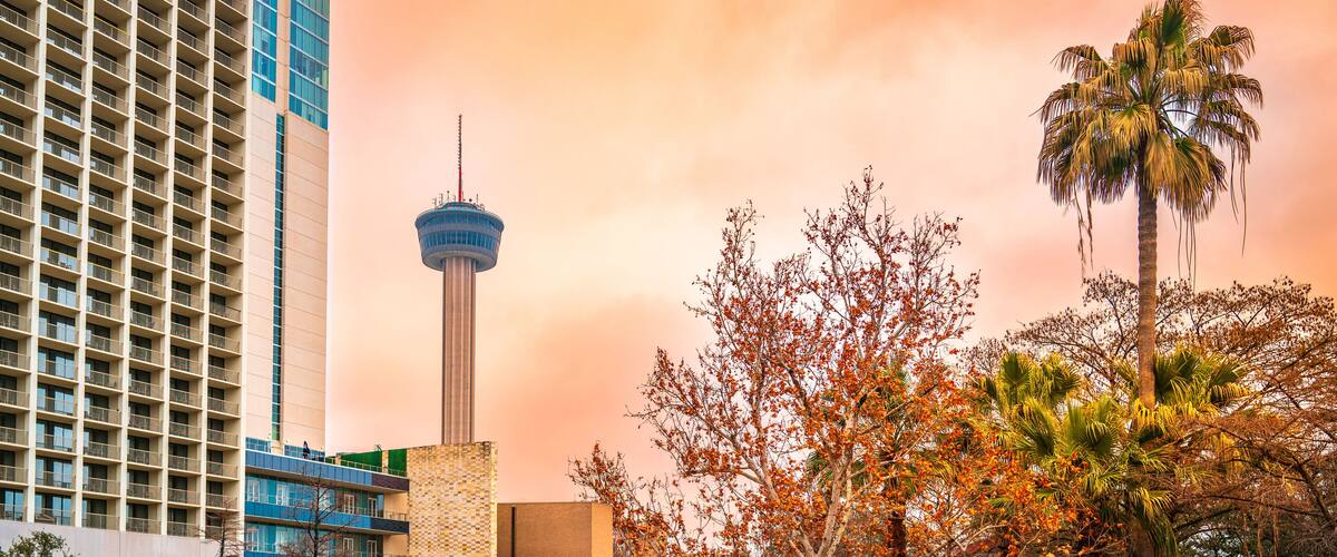San Antonio Texas city skyline with warm glowing golden clouds, the Tower of Americas, and dried sycamore tree foliage and palm trees in winter