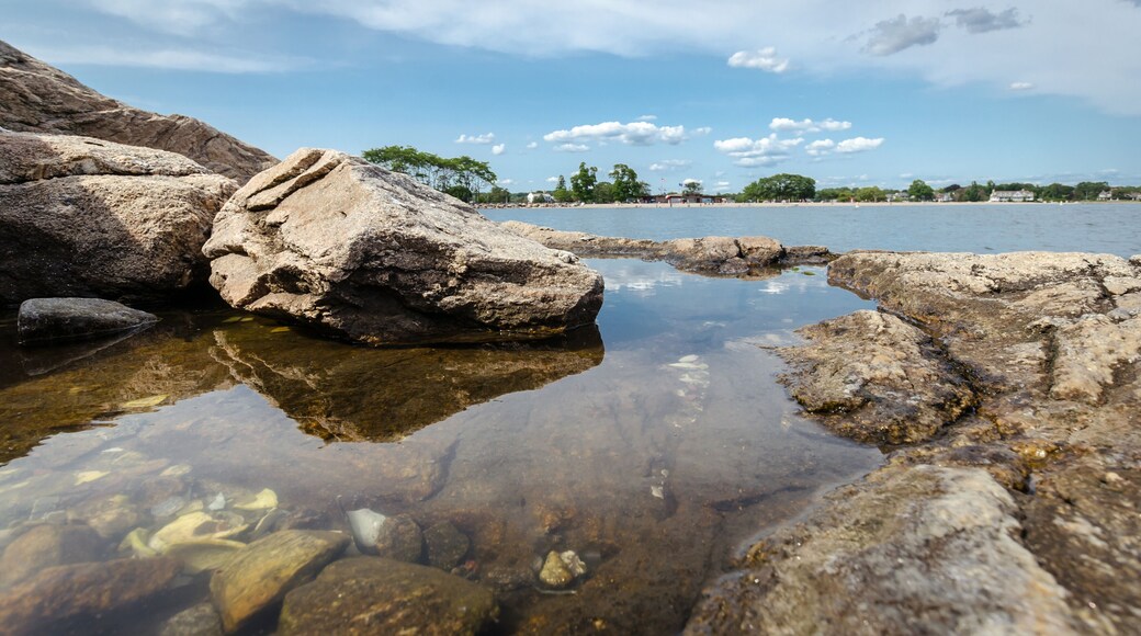 Cove - East Side - Shippan