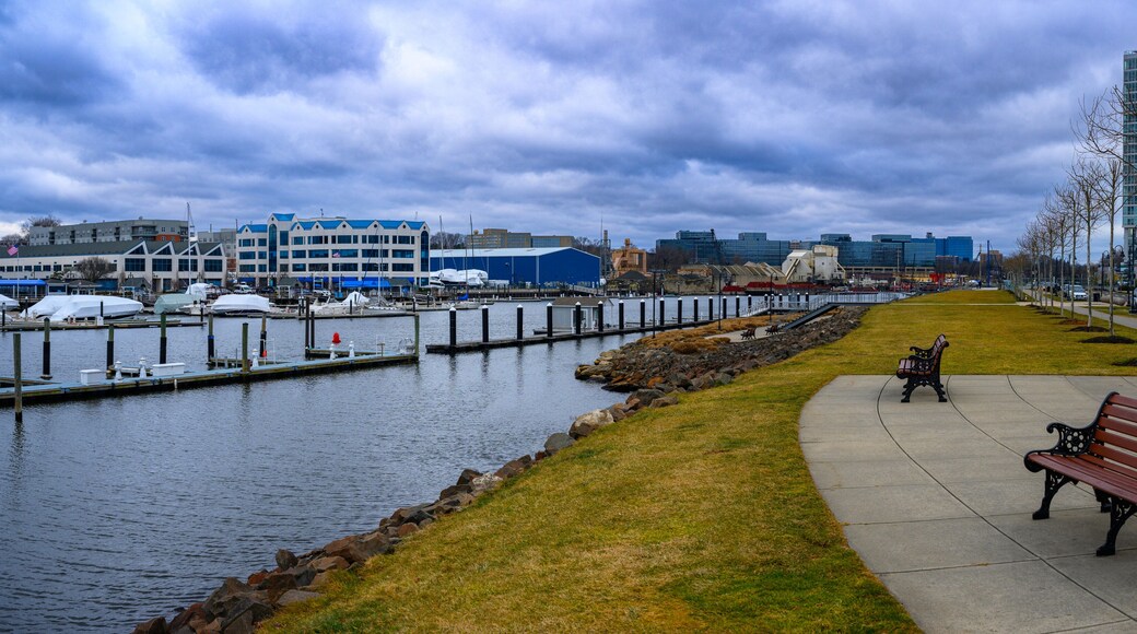 Cove - East Side - Shippan