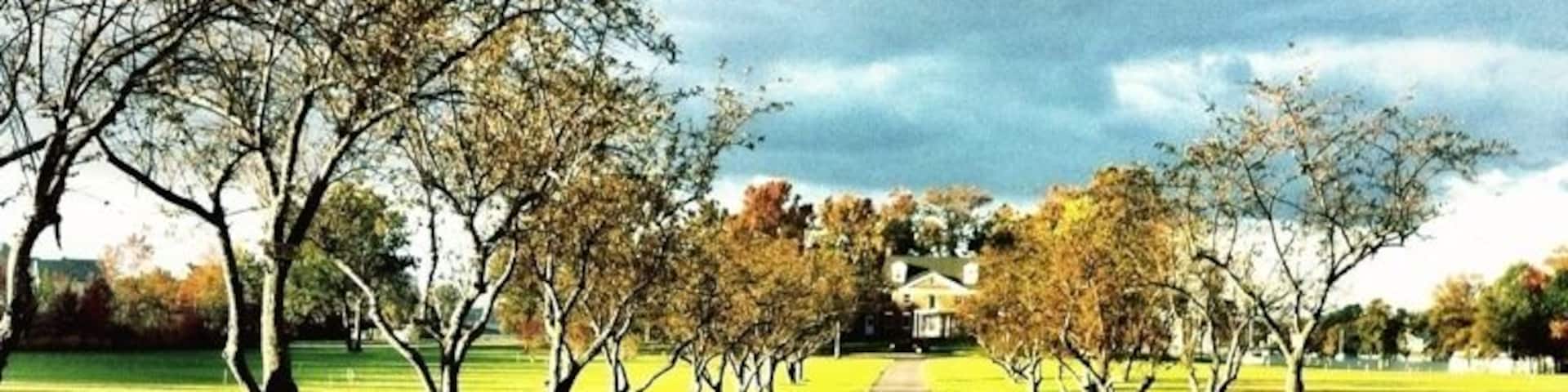 Been a fan of this house since a youngin'. The tree draped driveway has always been a good look about this time of year.