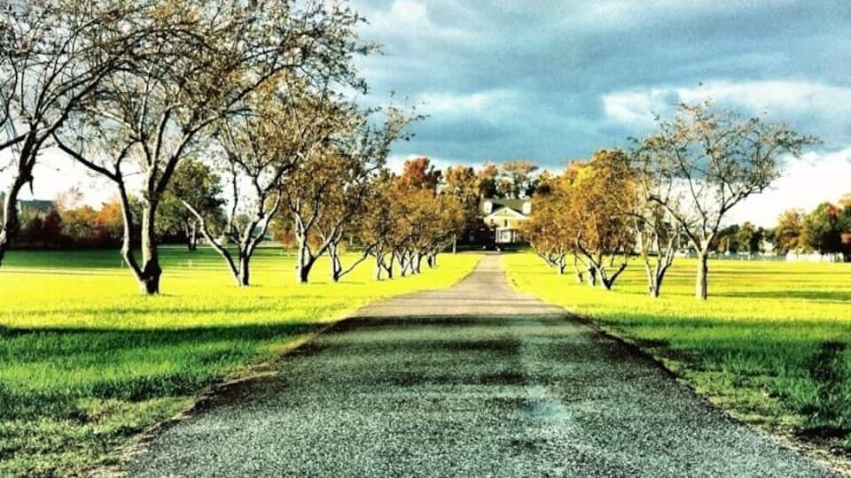 Been a fan of this house since a youngin'. The tree draped driveway has always been a good look about this time of year.