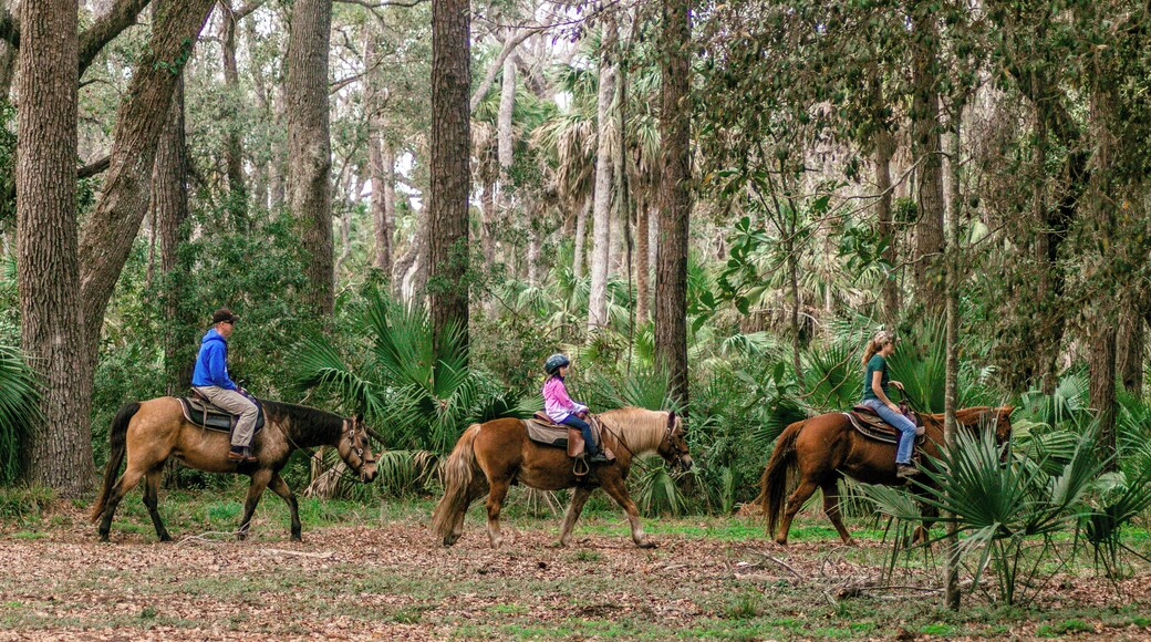Horseback riding is available in the Sea Pines Resort on Hilton Head Island