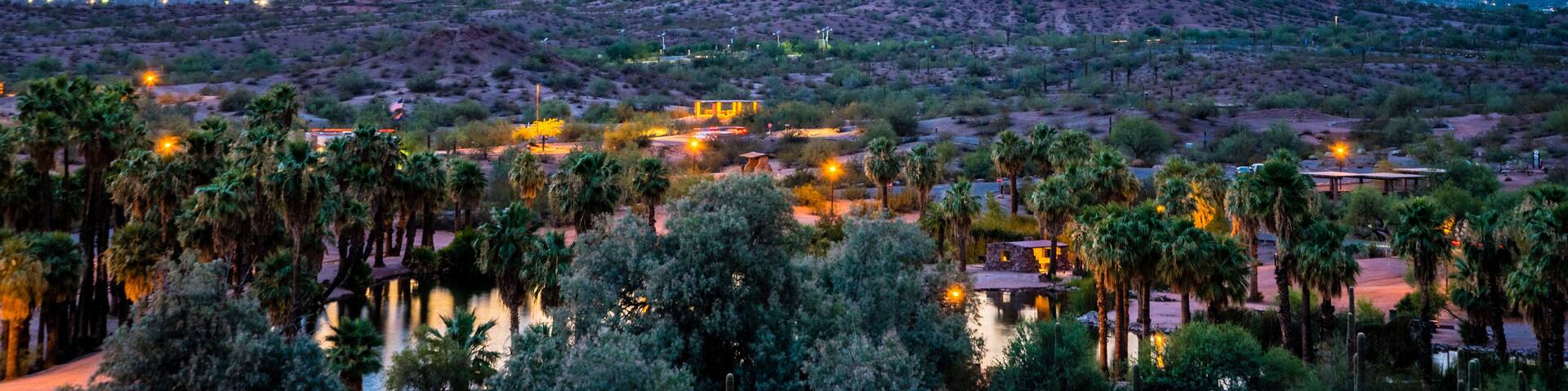 A desert landscape with a prominent mountain range, palm trees, and a small settlement with illuminated buildings.