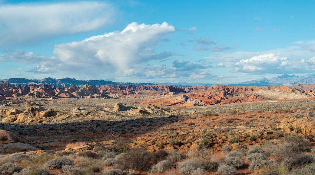 USA, Nevada, Clark County, Valley of Fire State Park - An expansive view of multicolored sandstone from Rainbow Vista.