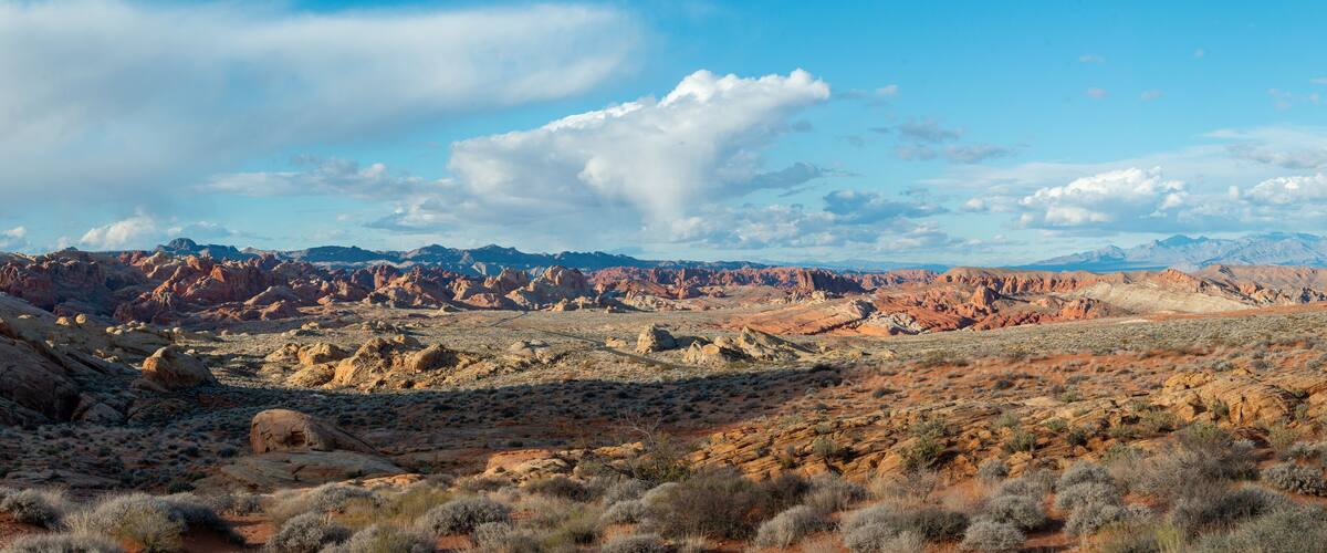 USA, Nevada, Clark County, Valley of Fire State Park - An expansive view of multicolored sandstone from Rainbow Vista.