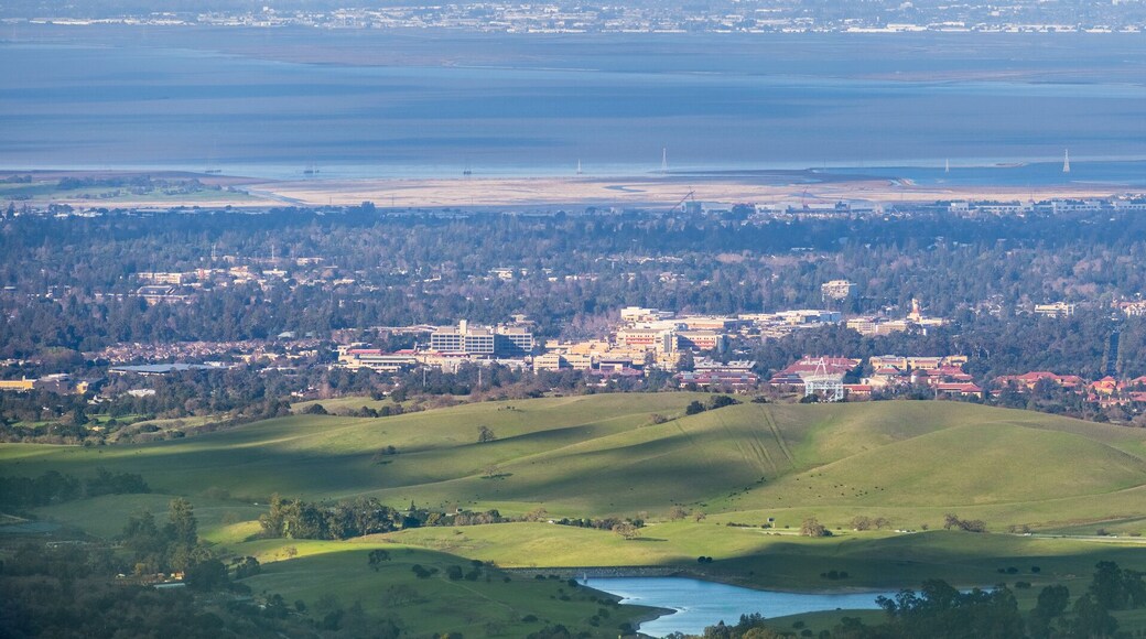 ชารอน ไฮท์ส