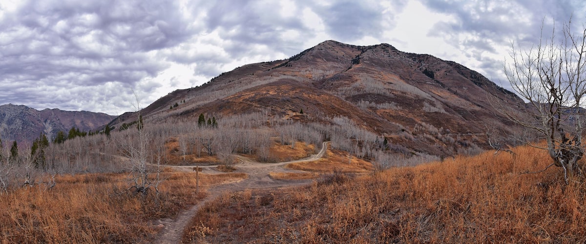 Provo Peak mountain views looking up to the top from Rock Canyon by Slide Canyon, Slate Canyon, Wasatch Front Rocky Mountain Range, Utah. United States.