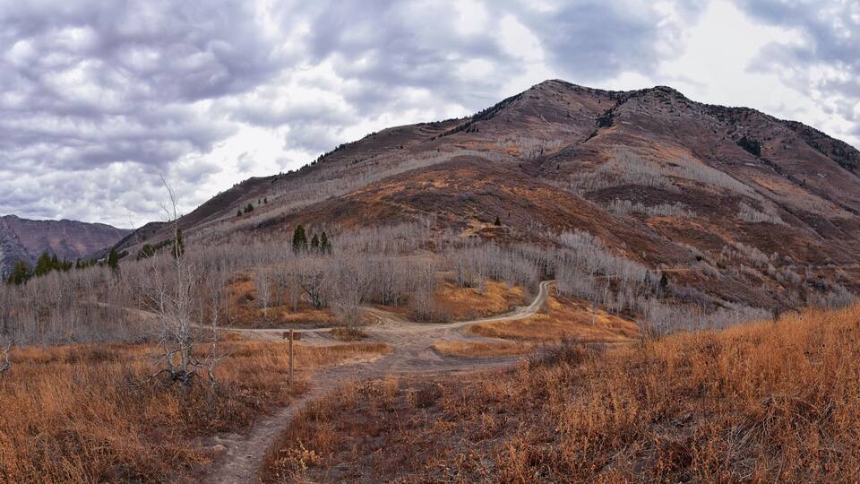 Provo Peak mountain views looking up to the top from Rock Canyon by Slide Canyon, Slate Canyon, Wasatch Front Rocky Mountain Range, Utah. United States.