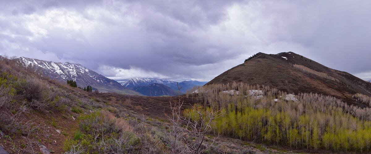 Rocky Mountains Wasatch Front landscape views foothills of Mt Timpanogos, Mt Mahogany nature hiking trail, by Orem and Provo, Utah. United States. USA.
