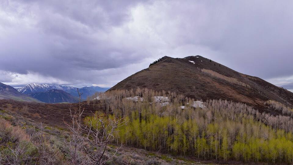 Rocky Mountains Wasatch Front landscape views foothills of Mt Timpanogos, Mt Mahogany nature hiking trail, by Orem and Provo, Utah. United States. USA.