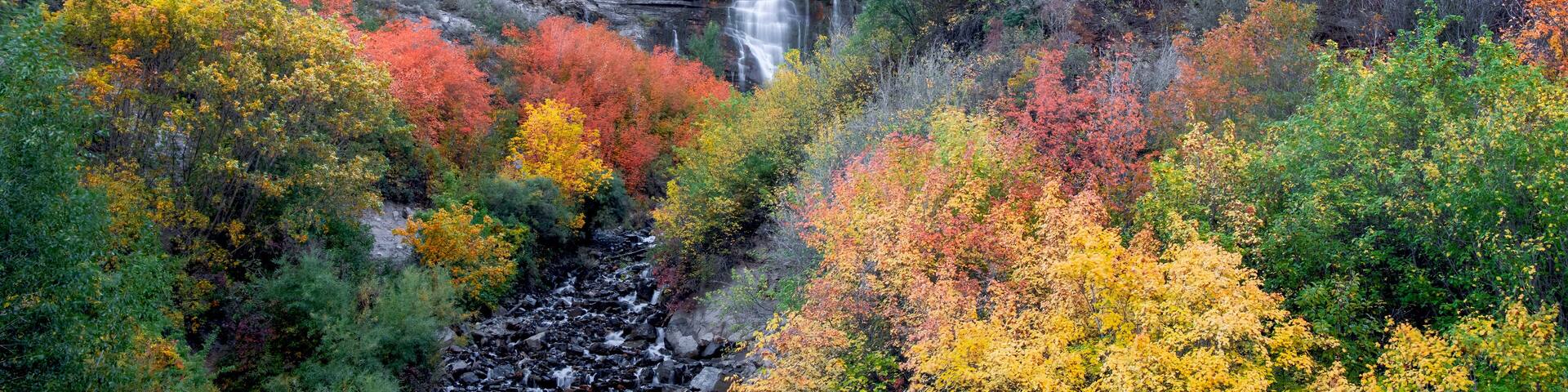 A waterfall cascading down a rocky cliff surrounded by autumn-colored foliage.