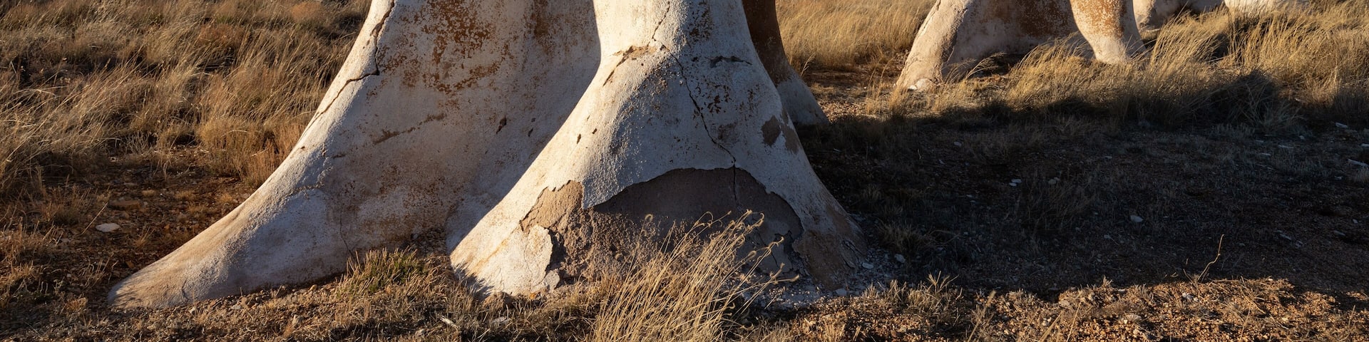 Old Ruins at Fort Bowie National Historic Site, Arizona