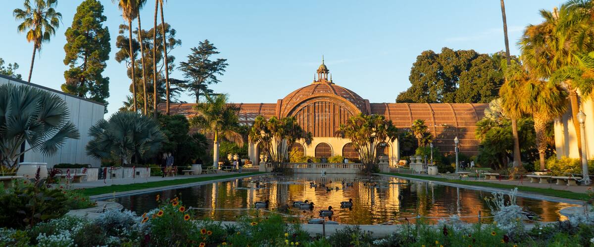 Botanical Garden and Lily pond in Balboa Park, San Diego