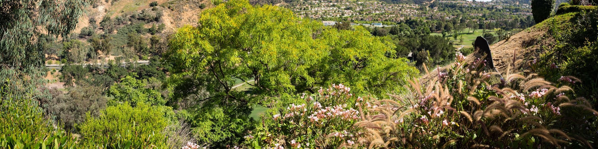 Calabasas, California Panorama of Parkway Calabasas Area