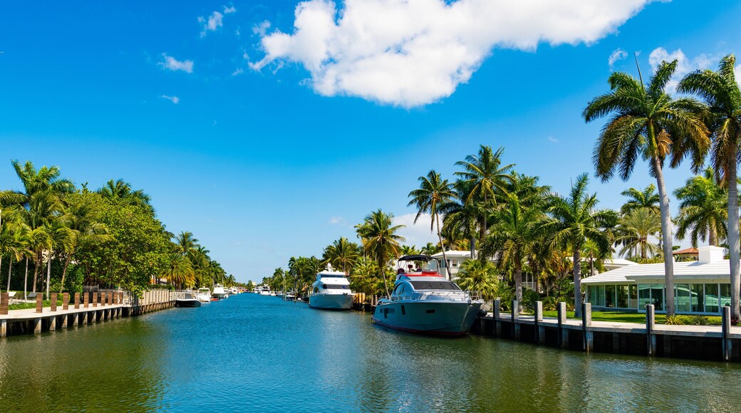 Destination point. Harbor with yacht at seaside summer destination. Seaside summer destination with boat and palm in harbor. Seaside harbor perfect destination for summer. Panoramic view