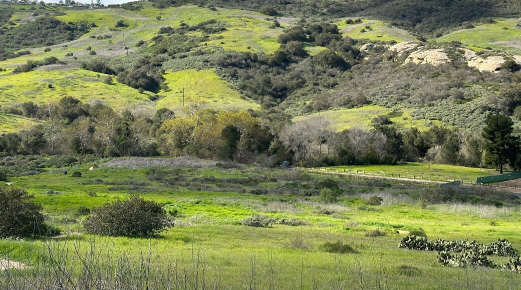 Shady Canyon Irvine California after rain