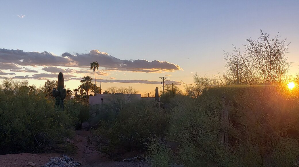 Sonoran Desert Sunset, Scottsdale, Arizona