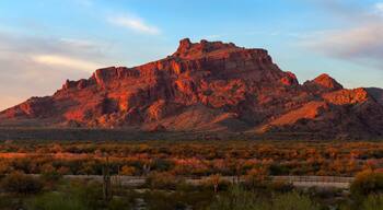 Scenic Arizona desert landscape at sunset