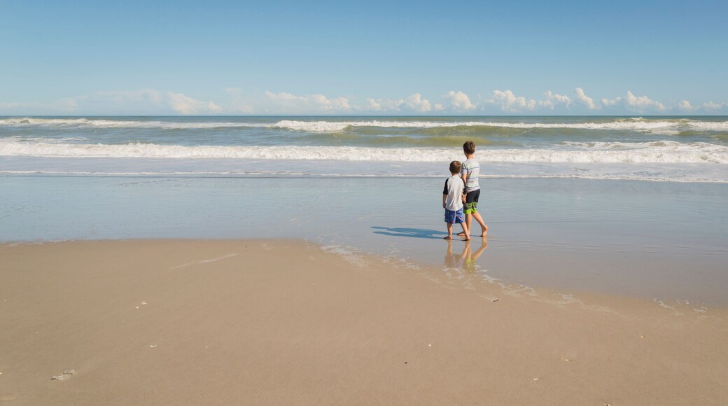 Rear view of brothers standing on shore at beach