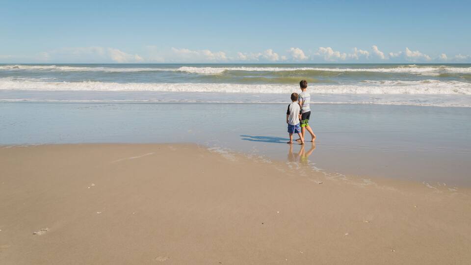 Rear view of brothers standing on shore at beach