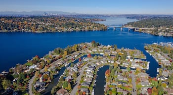 Vue aérienne d’un quartier résidentiel situé au bord de l’eau, avec un pont visible au loin.