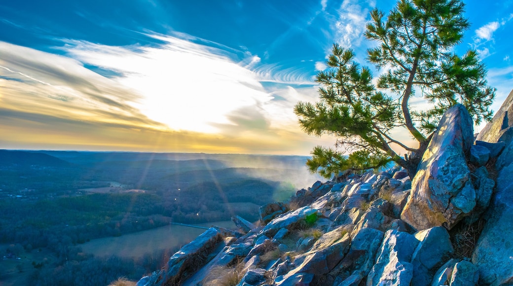 Arkansas Wilderness at Twilight