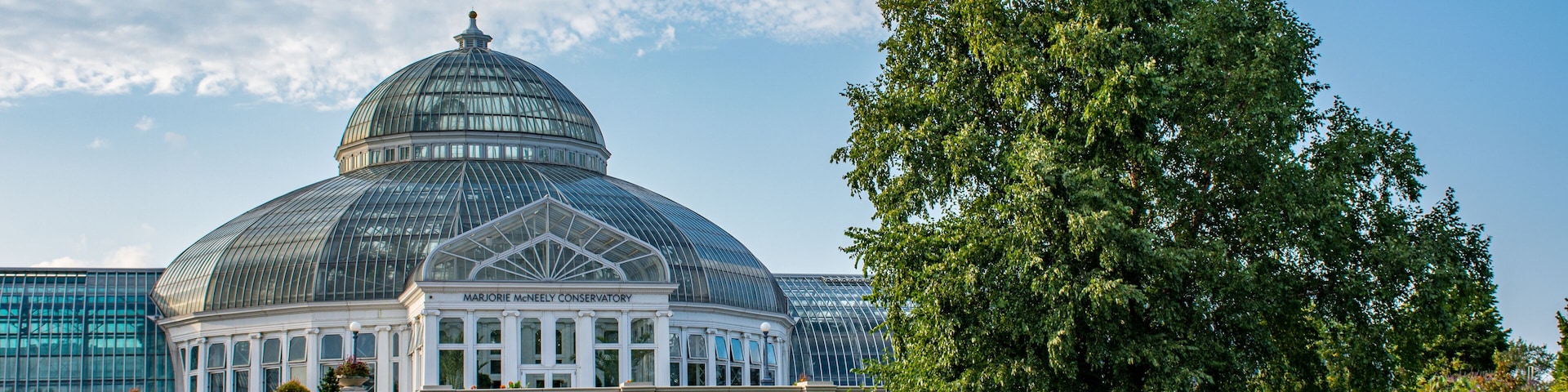 Ein großes Gewächshaus mit Glasdach, einer Steinwand und einem großen Baum im Vordergrund.