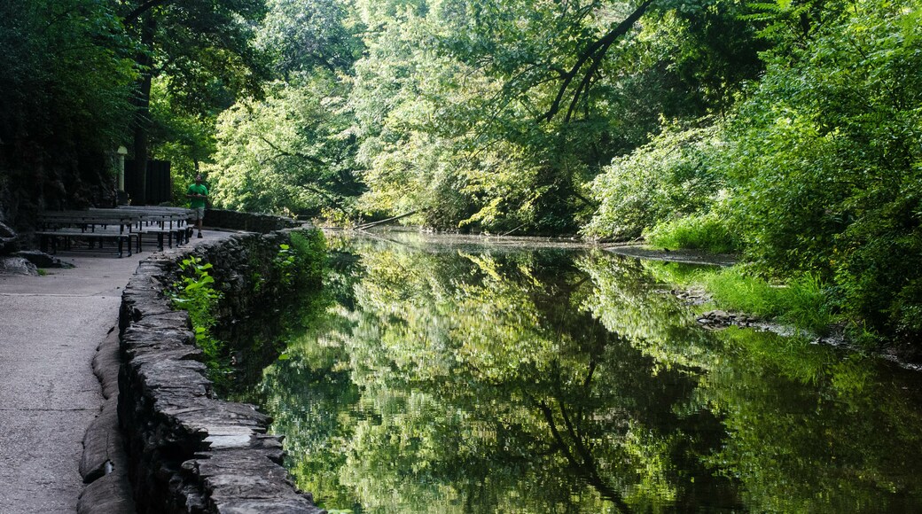 Reflection of trees in water at Natural Bridge State park in Virginia, United States.
