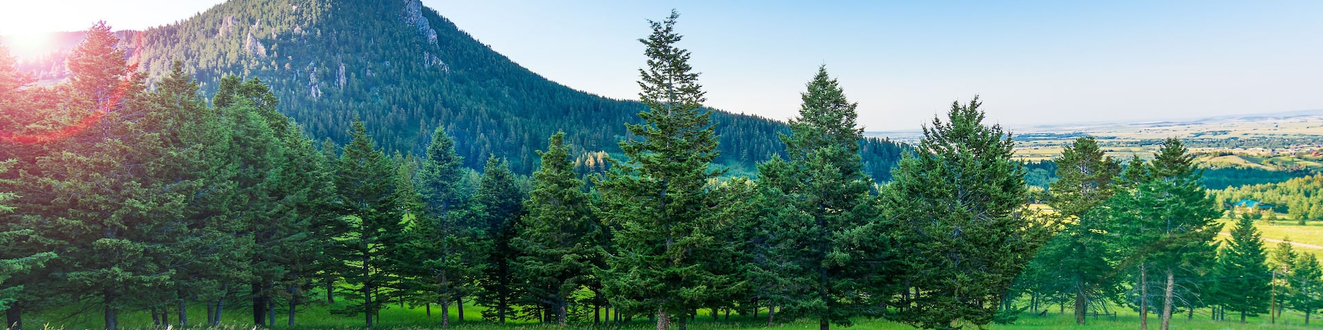 Sunset Over Green Pine Forest and Mountain Landscape Near Red Lodge, Montana - grasslands and pine trees stand out in this classic Rocky Mountain American West Photo