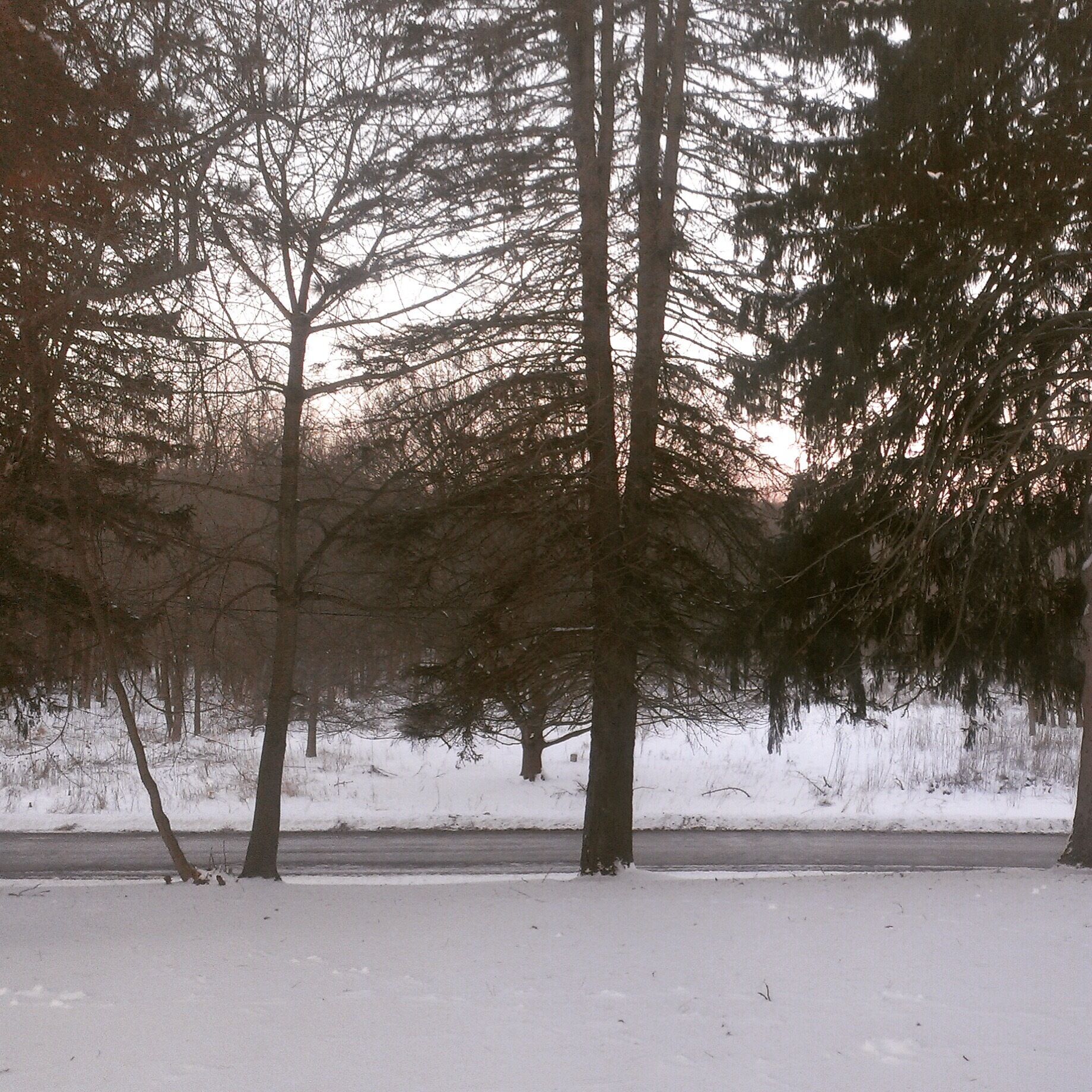 Morning in the Cuyahoga National Park.