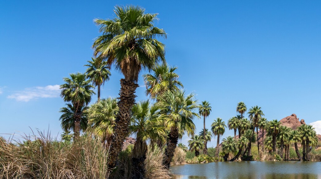 Papago Park in Phoenix Arizona, America, USA.