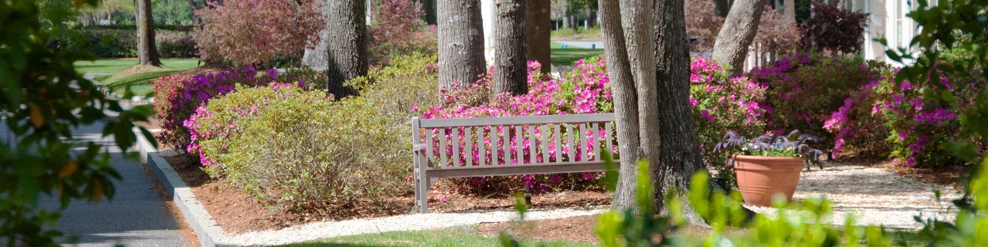 Habersham Town Center Near Beaufort, South Carolina