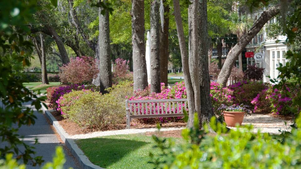 Habersham Town Center Near Beaufort, South Carolina