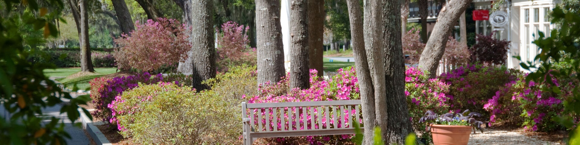 Habersham Town Center Near Beaufort, South Carolina